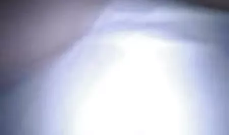 عجیب و غریب, مادربزرگ عکس و کلیپ سکسی می آموزد به سرد