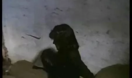 BlowBangGirls-دنی کلیپ فارسی سکسی خطر